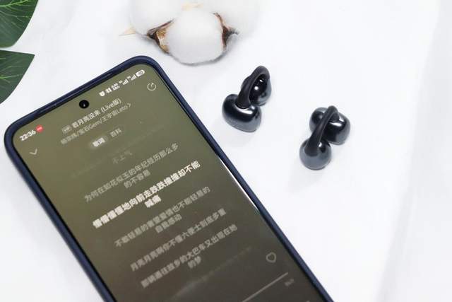 lip Super耳机体验尽享卓越音质long88龙8国际高性价比之选南卡C(图10)